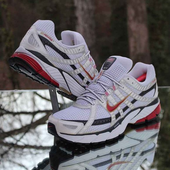 Nike Air Pegasus 2007+ Bowerman - Picture 4 of 14